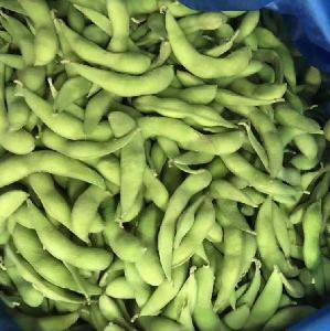 Wholesale high quality IQF frozen green edamame soy bean
