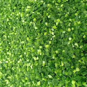2020 new crop IQF spring onions diced 3-5mm