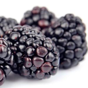 supply BRC certified IQF frozen blackberry / frozen blackberry puree good quality hot sale