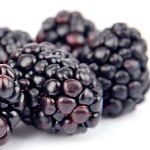 new harvest BRC certified IQF frozen Blackberry / frozen blackberry puree good quality hot sale