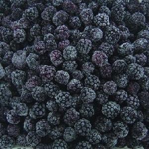 supply BRC certified IQF frozen blackberry, blackberry puree good quality hot sale
