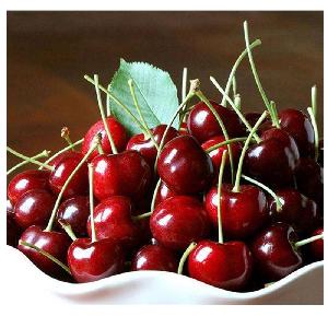 DSF Wholesale Export Selling  IQF   Frozen   Cherry 