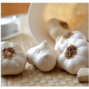 Factory supplies frozen peeled garlic price