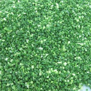 Bulk IQF Frozen Spring Onion dice HACCP