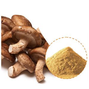 Healthy Nature Dried Shiitake Mushroom Powder