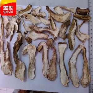 dried boletus edulis