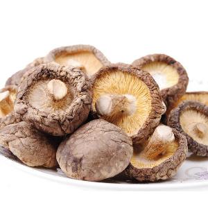 Hot sale dried shiitake mushroom OEM 2019