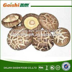 bulk crop dried log white flower shiitake mushroom