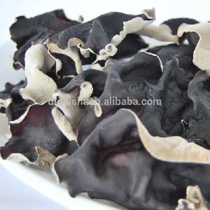 flake black fungus mushroom wood ear