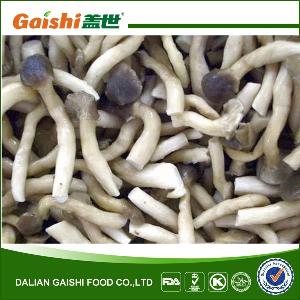 IQF Frozen Pleurotus Cornucopiae/Shimeji Mushroom