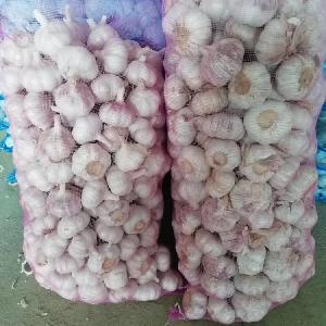 2018 new crop China garlic