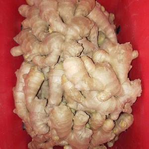 chinese ginger