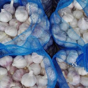 wholesale fresh norma white garlic purple garlic/red garlic in low price