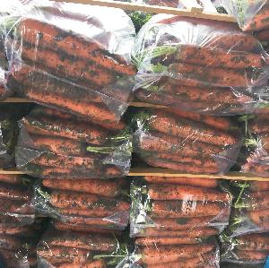 chinese fresh vegetable  carrot high quality export vietnam