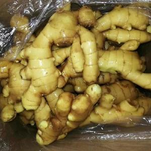 2018  new   crop   fresh   yellow   ginger /dried  ginger  price