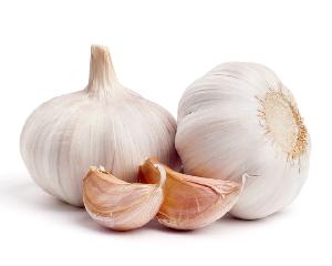 New crop Normal White garlic for Vietnam Market