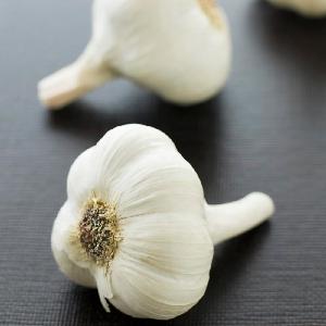Wholesale fresh garlic price
