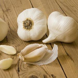 Normal white garlic fresh new crop 2020