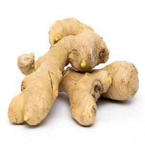 Hot sale  china Air- dry  ginger