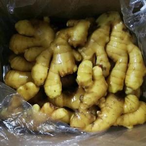 New crop fresh ginger for bangladesh