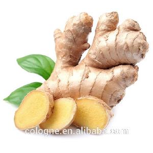 Top Quality Bulk Fresh   Organic Ginger