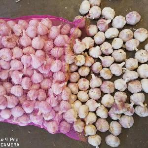 2019 chinese fresh garlic price