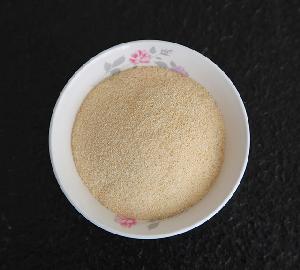 2018 new crop dehydrated garlic flake ,garlic powder and garlic granules
