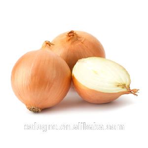 2019 New crop onion for export Chinese /yellow onion