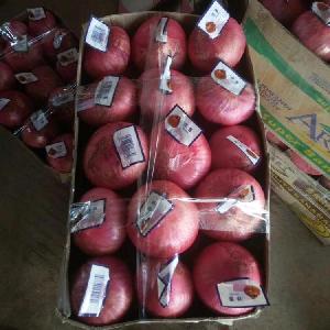 fresh red onions fresh cheap onion