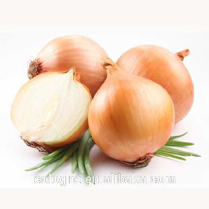 FRESH RED BIG ONION