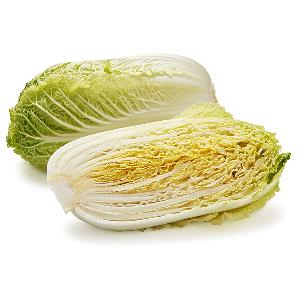 Export Fresh White Green Celery Cabbage