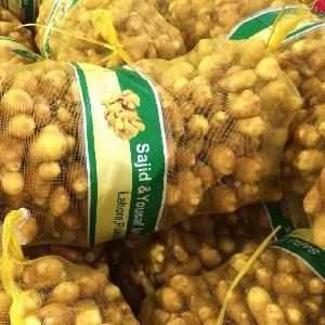 Fresh Ginger and Air-Dried Ginger
