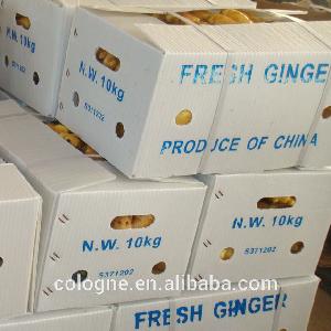 1kg fresh ginger price
