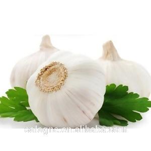 china export garlic