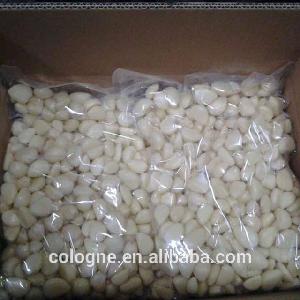 Wholesale Chinese Fresh Peeled Normal White Garlic