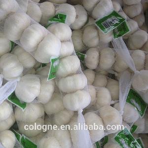 Wholesale Chinese 2019 Fresh Garlic Price Purple/Red/Pure White Garlic