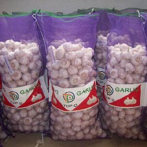 2019  Fresh red garlic natural garlic buyers wholesale garlic price