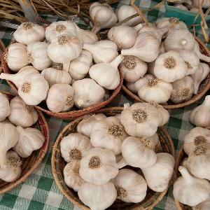 2019  Fresh China Garlic Price Sale In Chile