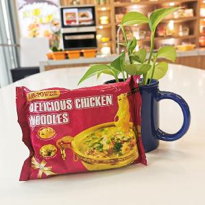 Private label Instant noodles distributors halal food chicken flavour OEM japanese noodles