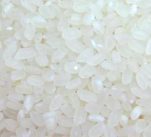 OEM package  short   grain   rice  / hard  white   rice  5 broken bulks