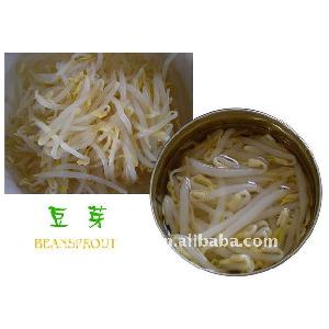 Canned bean sprout with low pricing