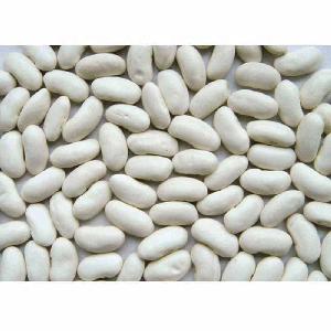 TTN bulk all kinds of  kidney   beans   ethiopian   red   kidney   beans  for sale