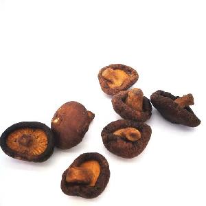 Higher quality vacuum fried mushroom snack products dried shiitake mushroom chips