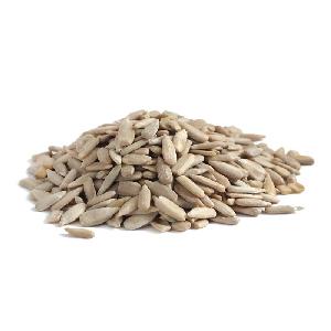 TTN China Factory Direct Sale Sunflower Seed Kernel 363 Market Price