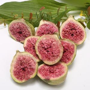 TTN Hot Sales Cheap Bulk Wholesale Freeze Dried Figs Fruit Slice