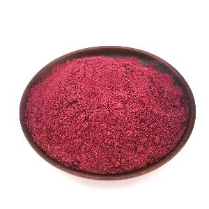 TTN Freeze Dried Blueberry Powder Blueberry Extract
