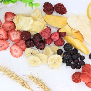 TTN Best Sale Freeze Dried Mixed Fruit Dry Original Marketing