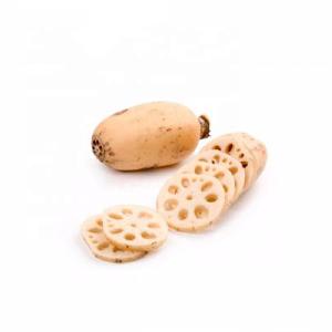 TTN 2018 Hot Sale Vegetable Healthy Snacks Lotus Root Prices