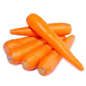 China Fresh Carrot (80g-150g) S Size In Carton