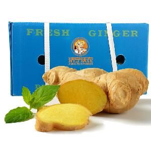 Hot sales fresh mature buyer of chinese ginger